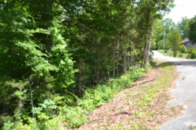 Picture 24