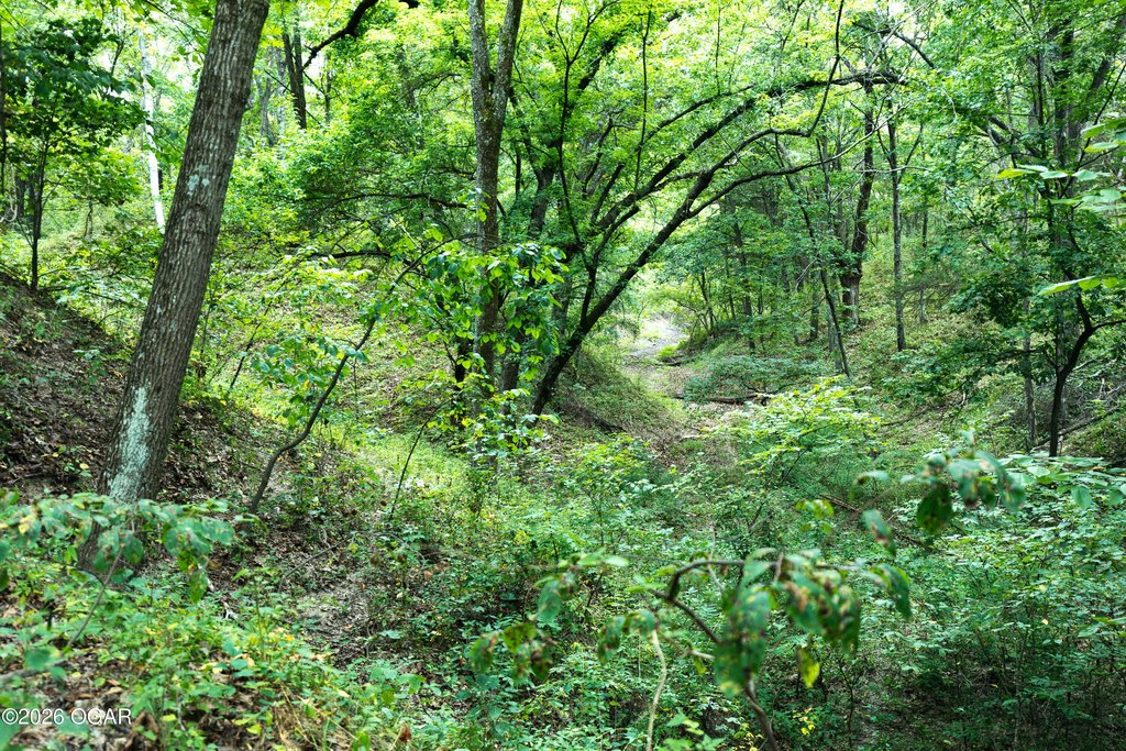 Picture 22