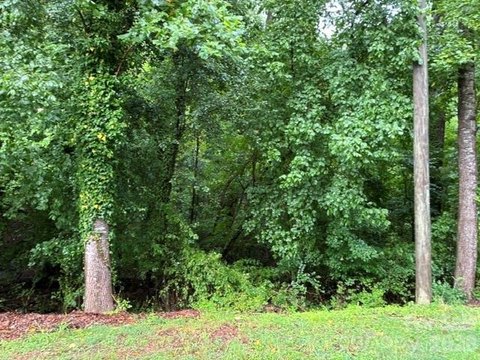 LAND - Forest City, NC