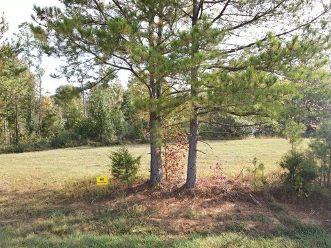 Land Near Lake Halford