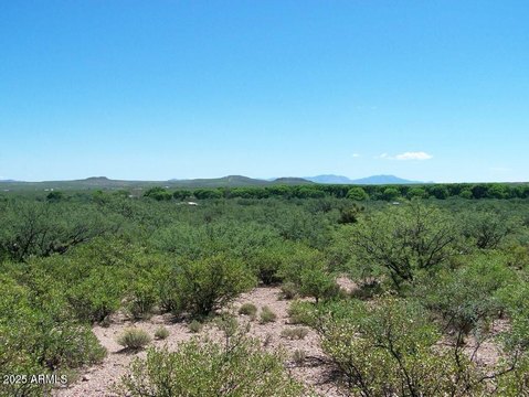 Huachuca City Acreage with Views
