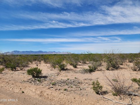 LAND - Huachuca City, AZ