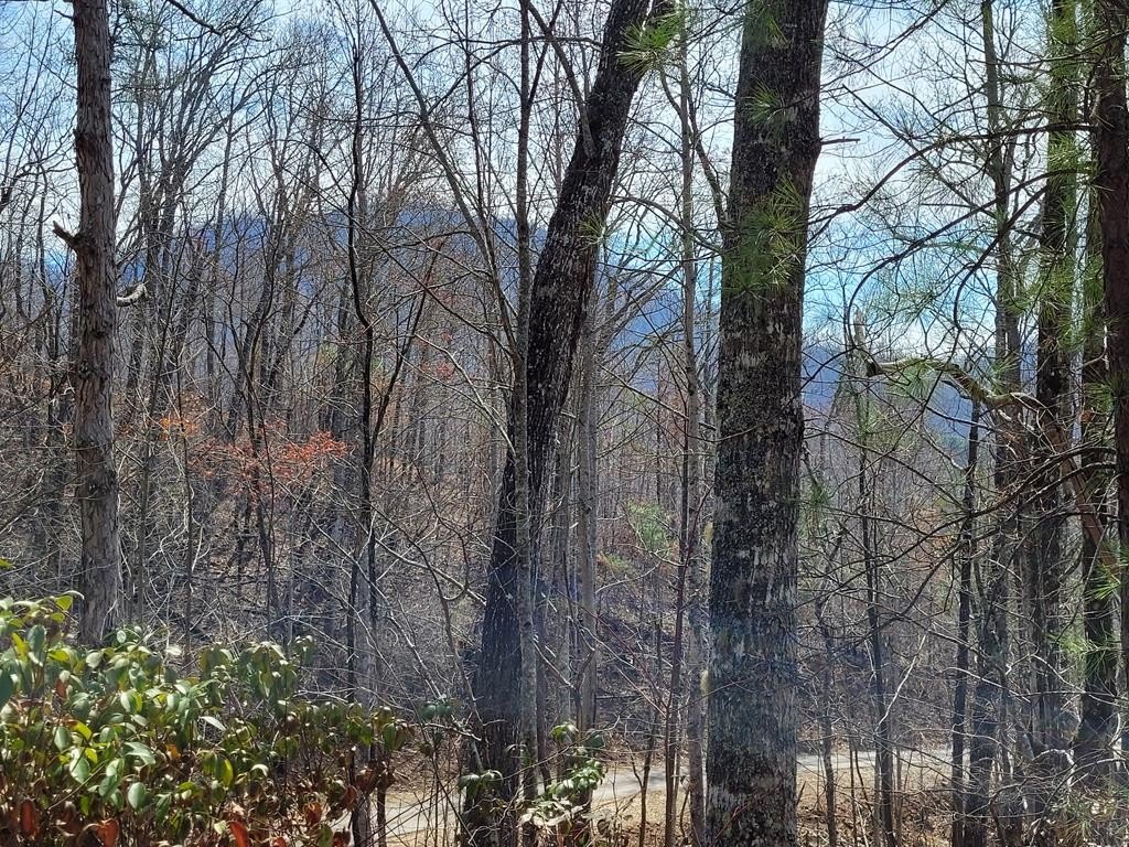 Hayesville, NC Vacant Lot