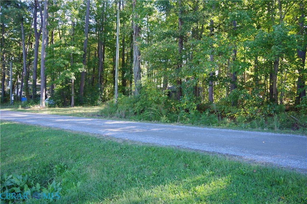Picture 7