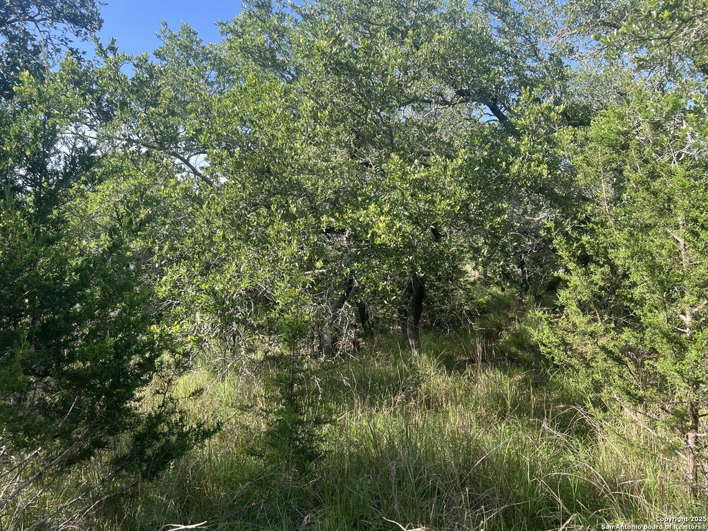 Picture 15