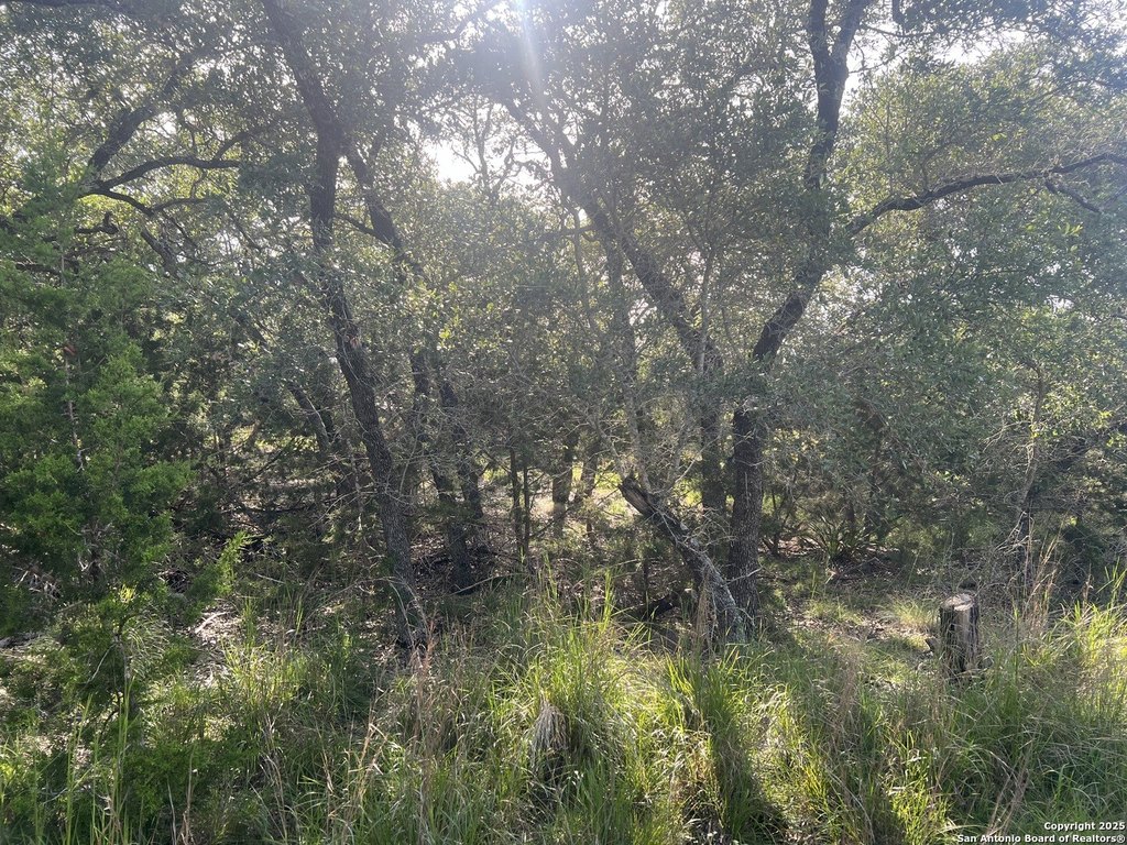 Picture 16