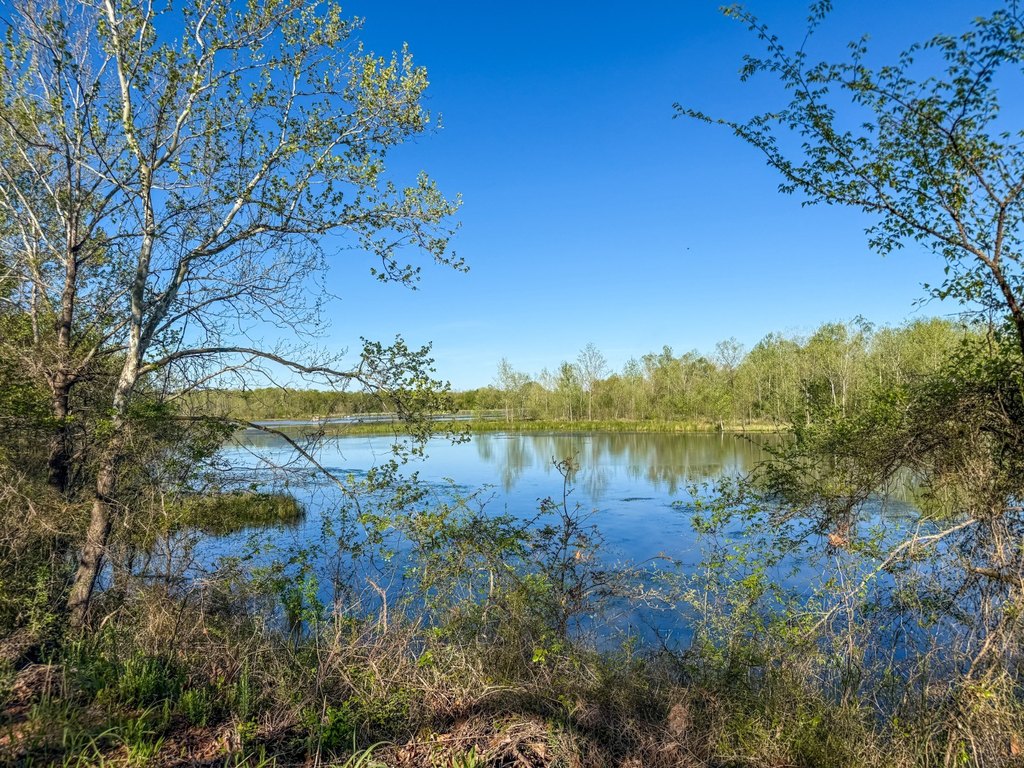 Picture 42