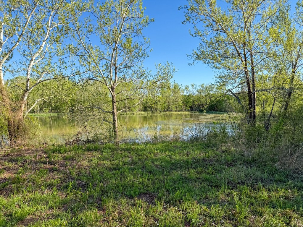 Picture 48