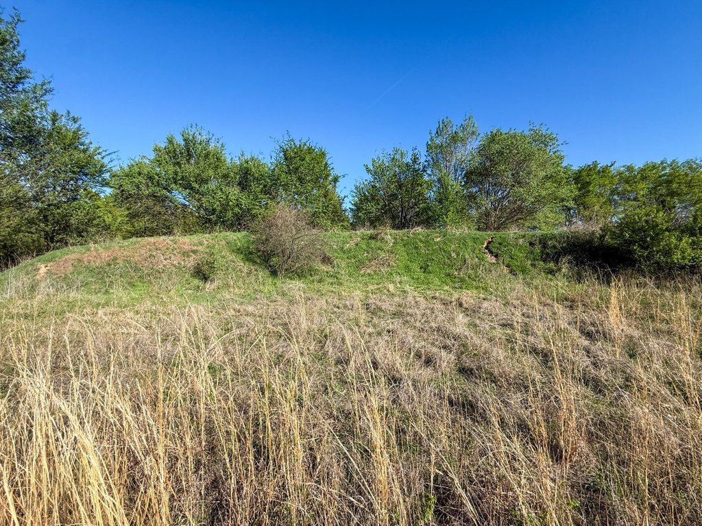 Picture 60