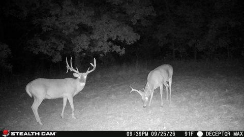 Riverfront Hunting Land