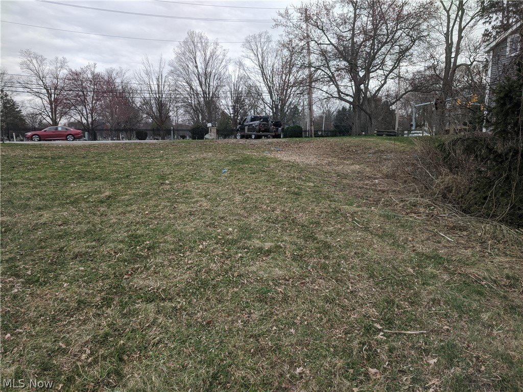 Picture 4