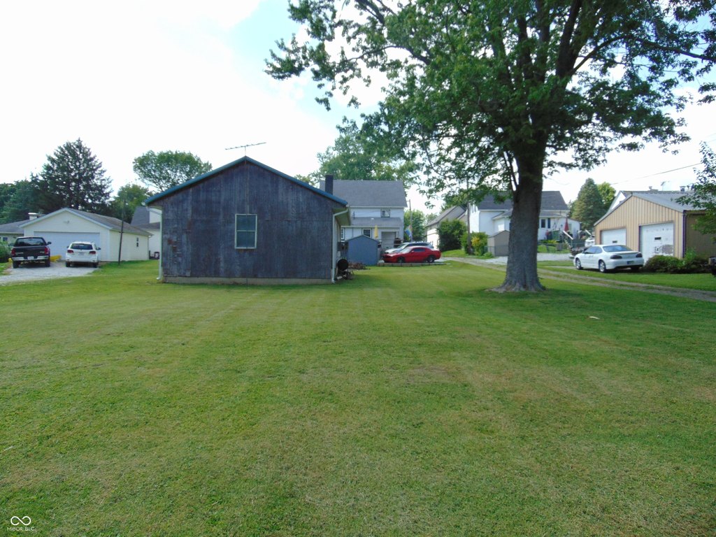 Picture 8