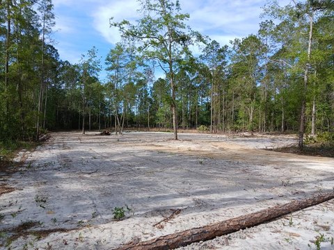 Land Near Suwannee River