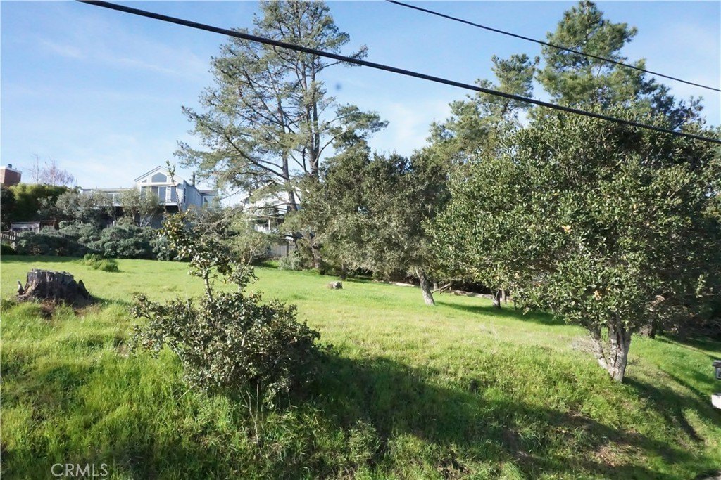 Picture 8