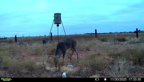 Seymour Ranch and Hunting Land