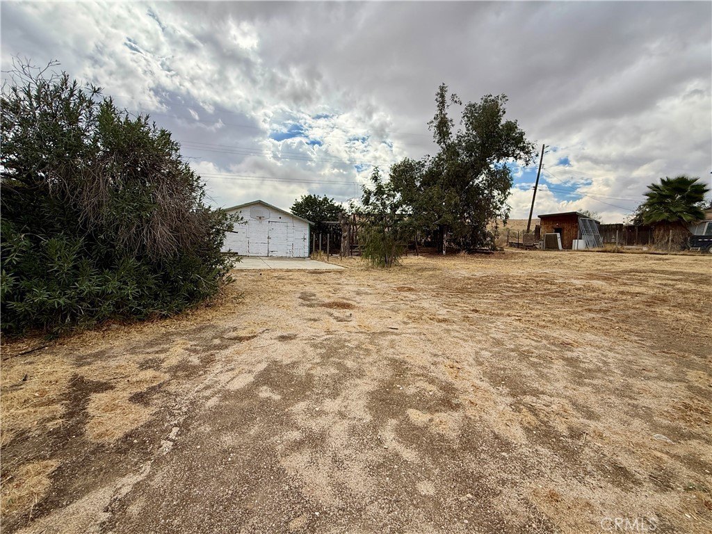 Picture 6