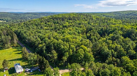 Hartwick Land with Development Potential