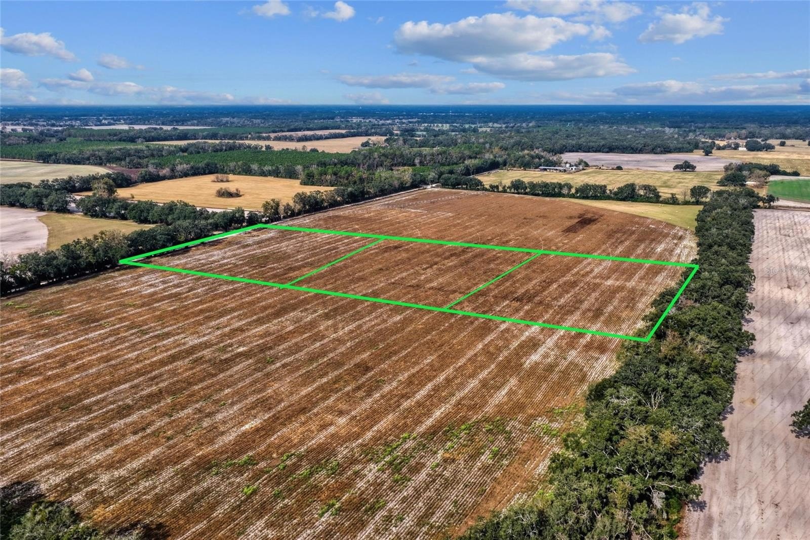 Levy County Agricultural Acreage