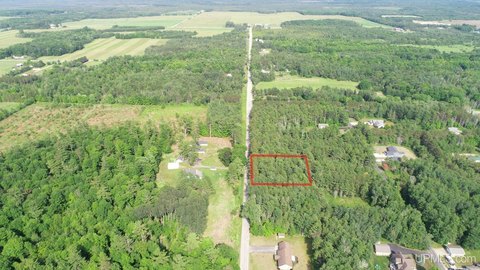 Manistique Land Near Indian Lake