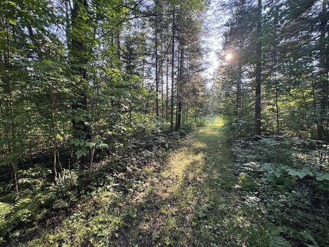 LAND - West Branch, MI