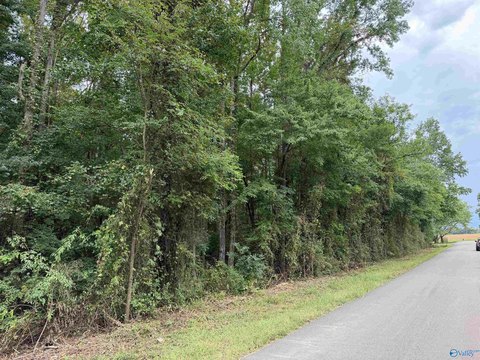 Land, Hazel Green, AL