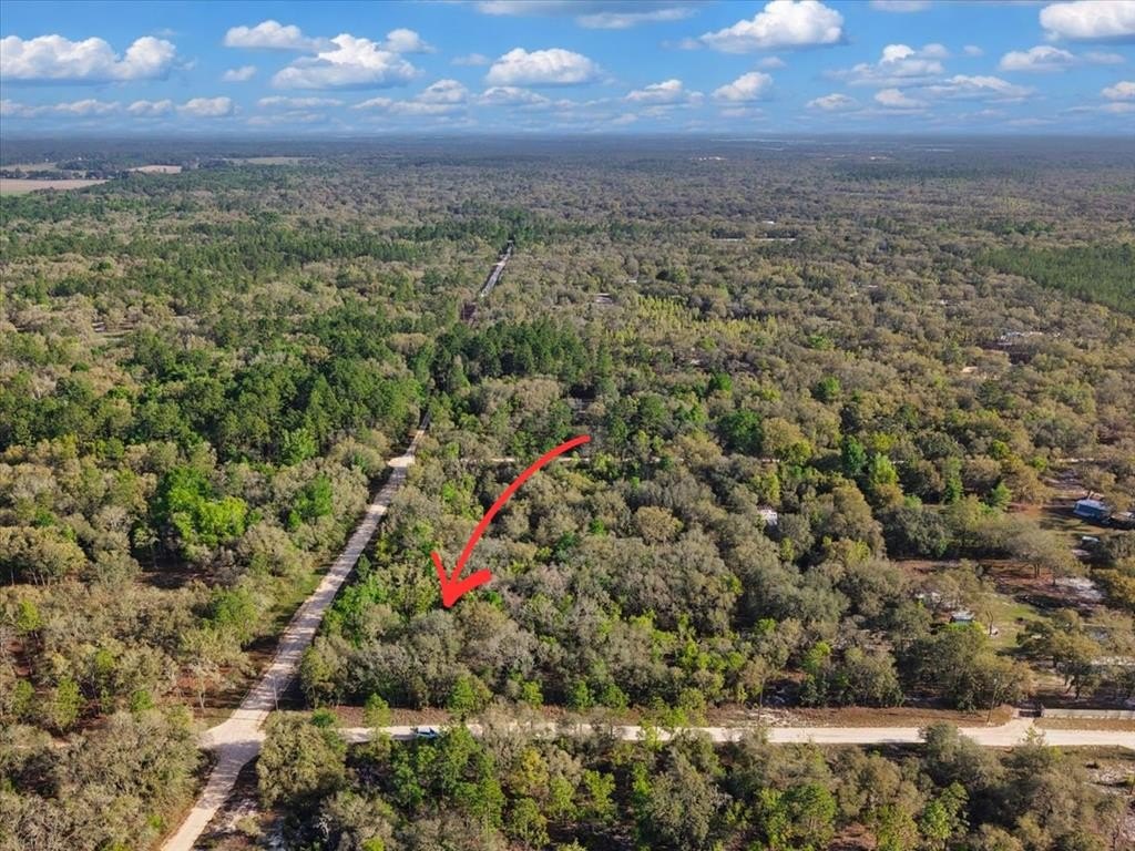 Levy County Acreage Opportunity