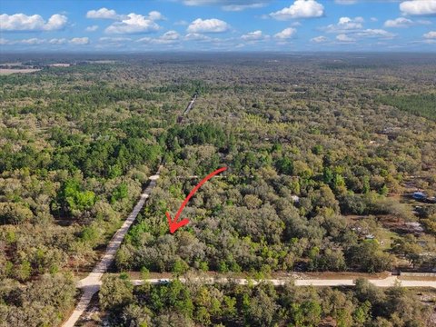 Levy County Acreage Opportunity