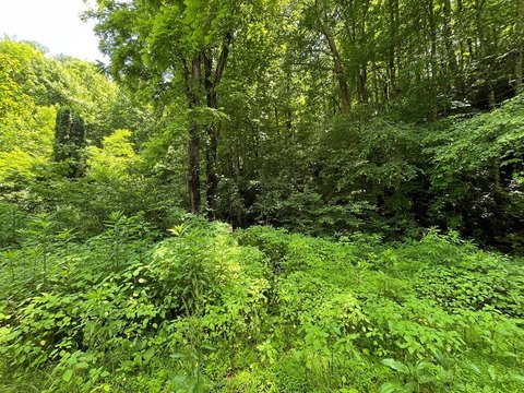 LAND - Franklin, NC