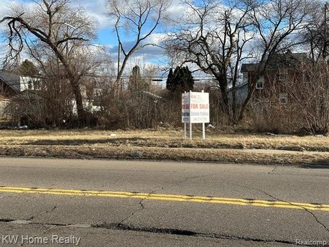 Detroit Commercial Land For Sale