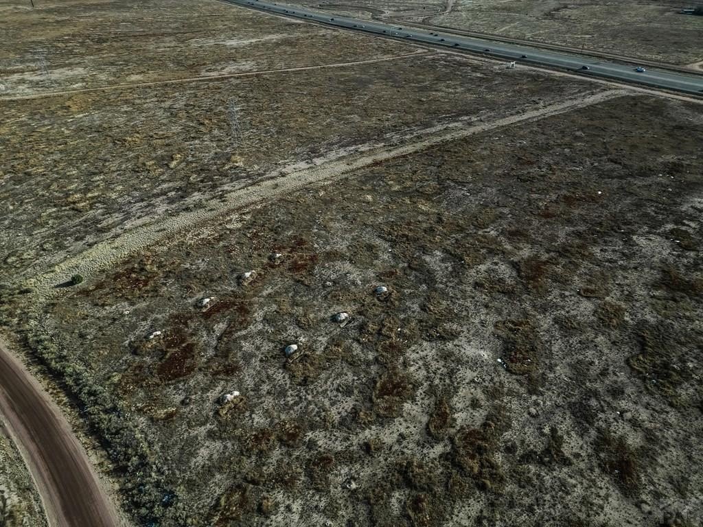Picture 8