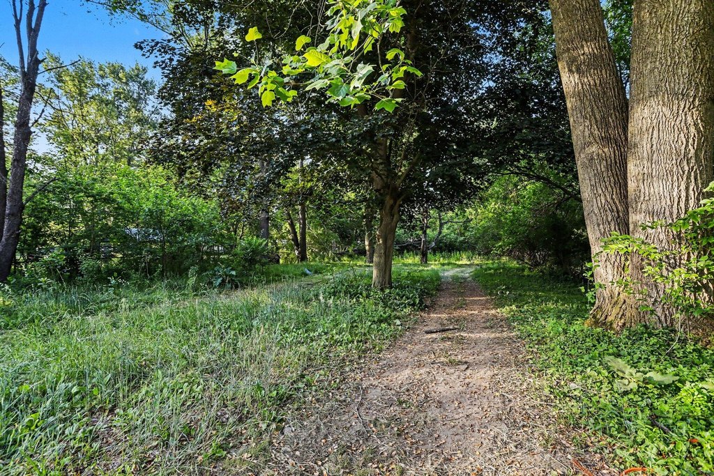 Picture 5
