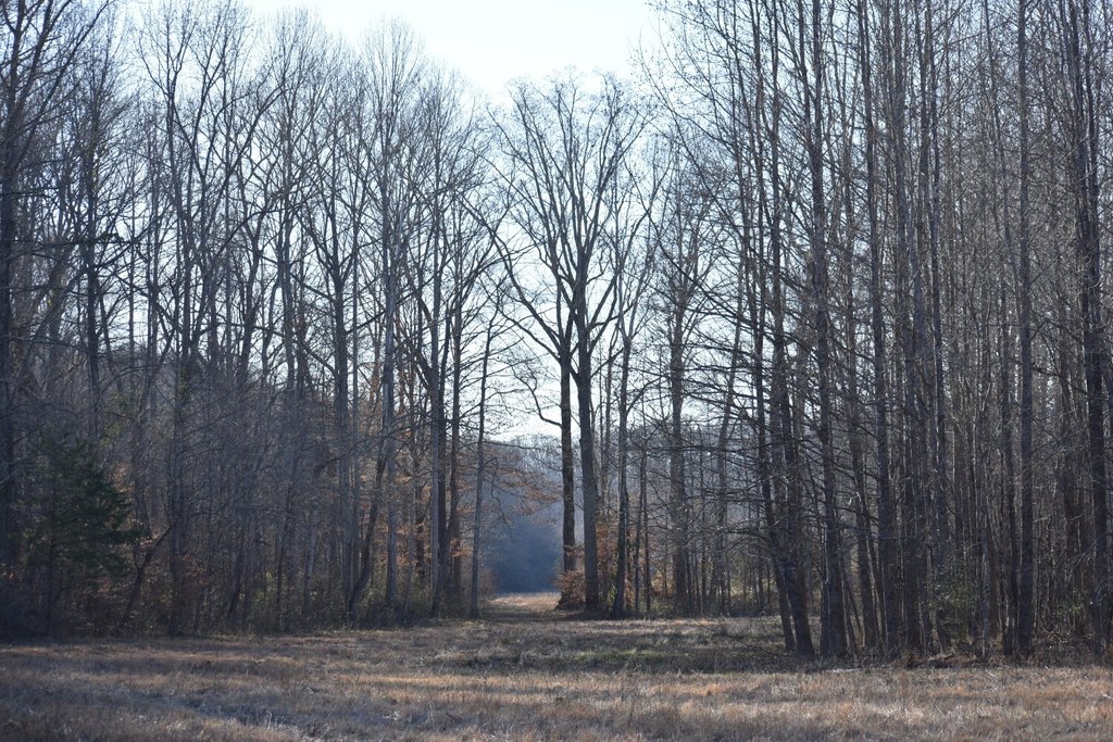Picture 37