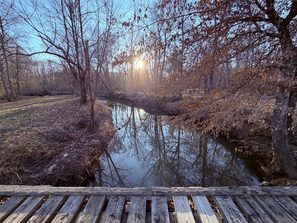 Picture 35