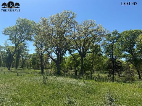 Springtown Land with Towering Oaks