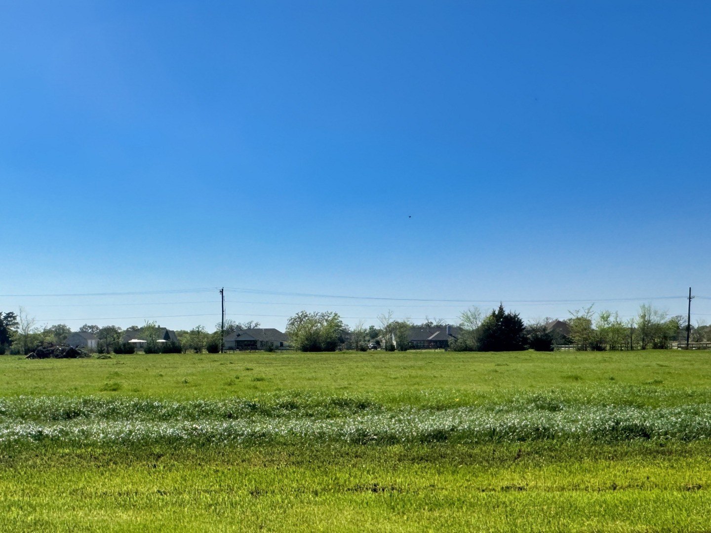 Residential Land in Iola, TX