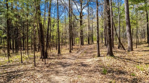 173 Acres in Monticello, AR