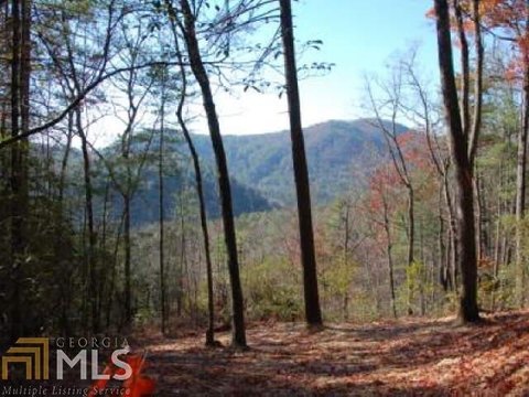 Wooded Land Near Forest Service