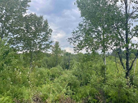 Commercially Zoned Development Land