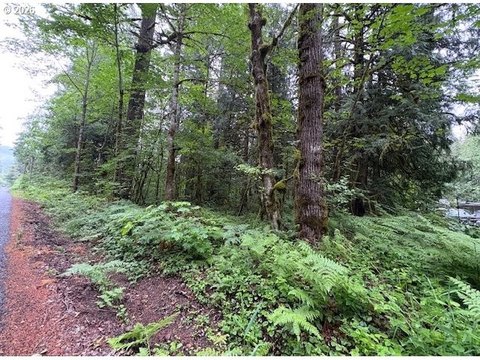 Welches, OR Divisible Wooded Land