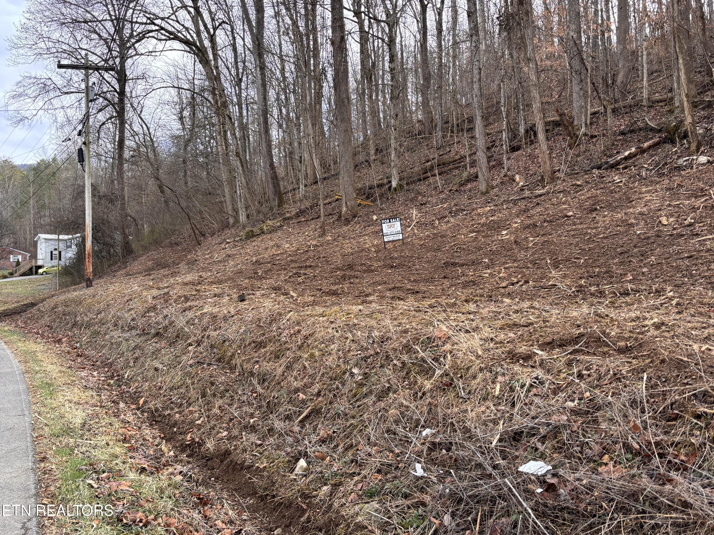 Dandridge Land with Building Sites
