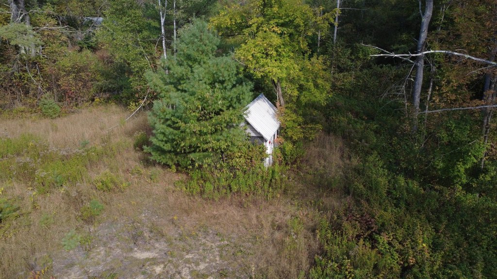 Picture 17