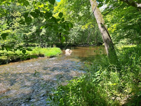 LAND - West Paris, ME