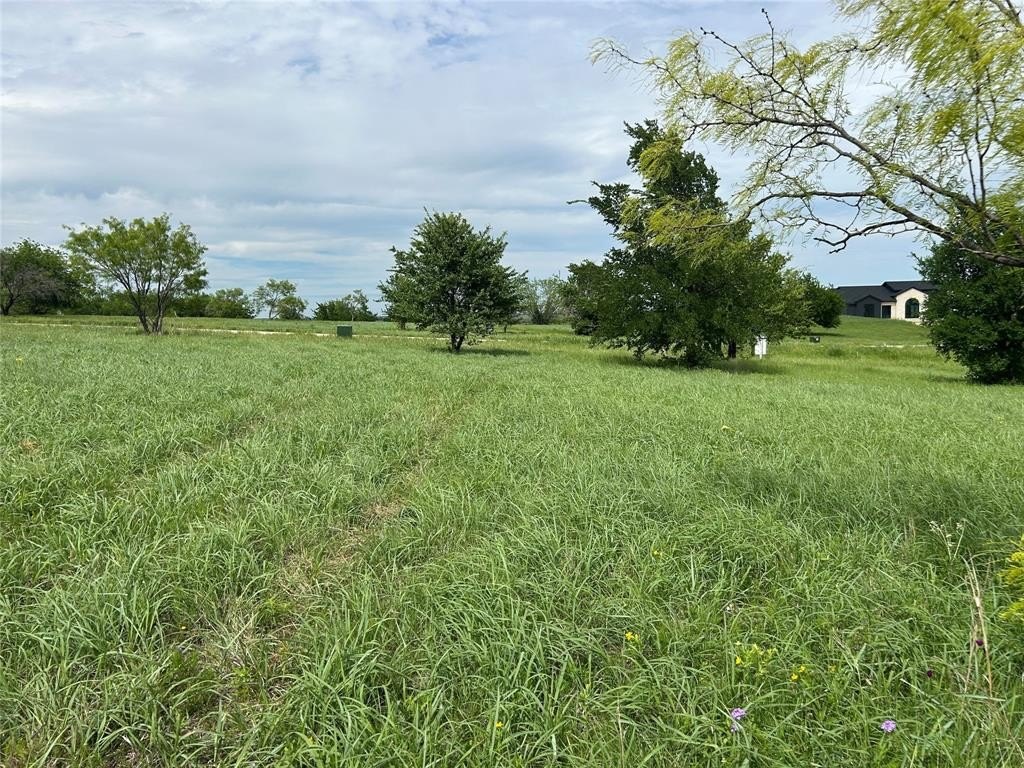 Picture 19