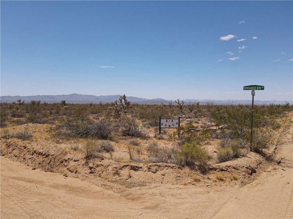 Picture 4
