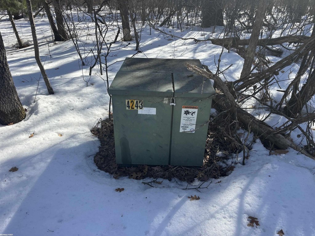 Picture 4