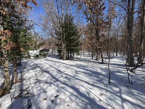 Wooded Land Near Higgins Lake