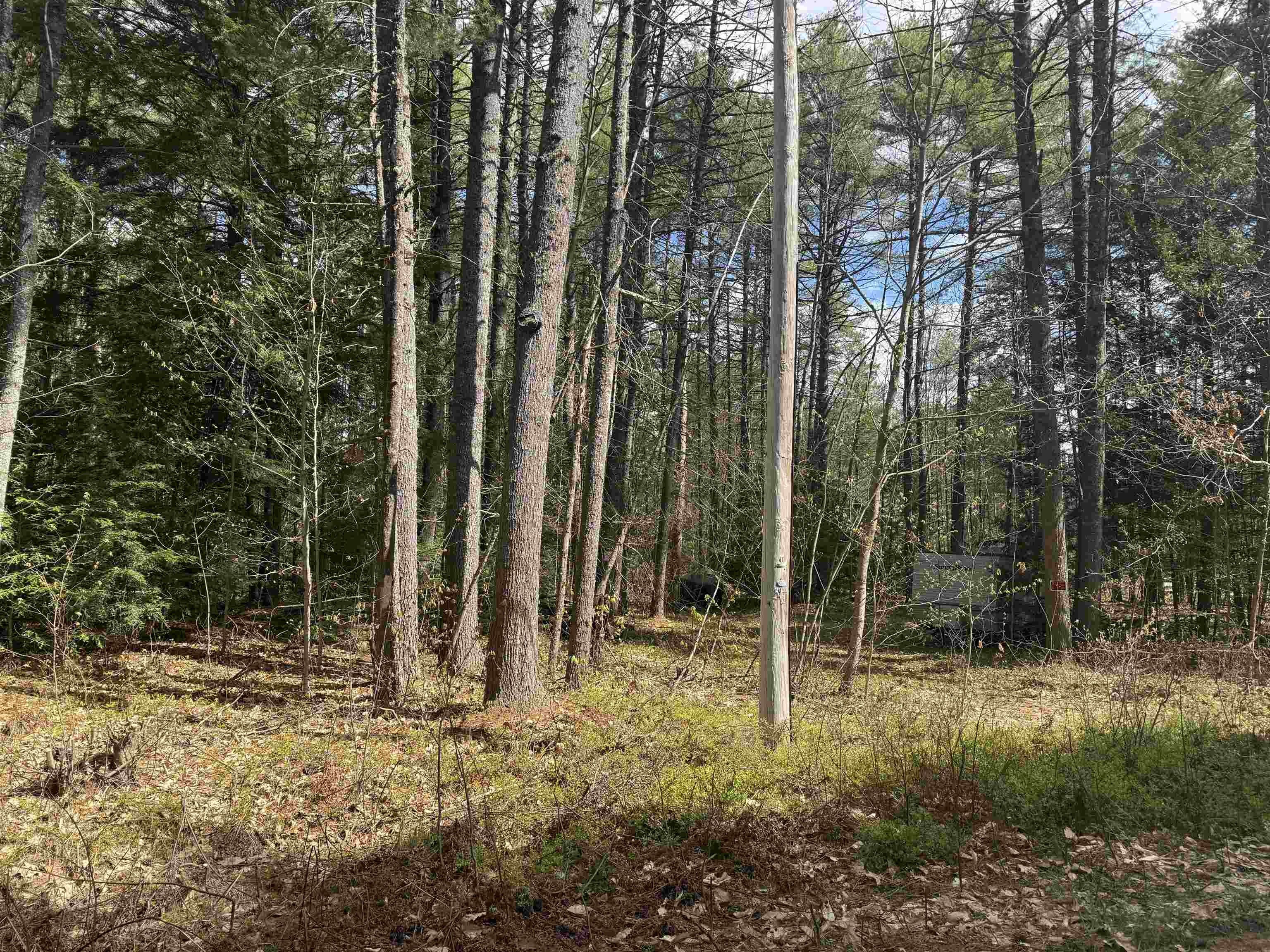 Effingham Land Near Amenities