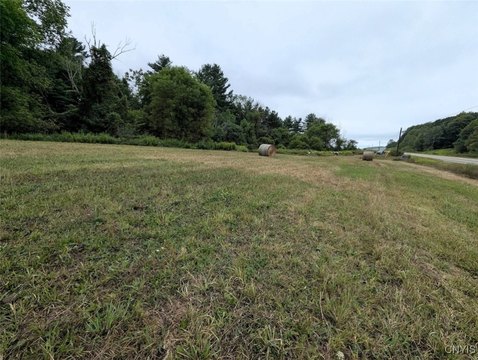 Recreational Land in Woodhull, NY