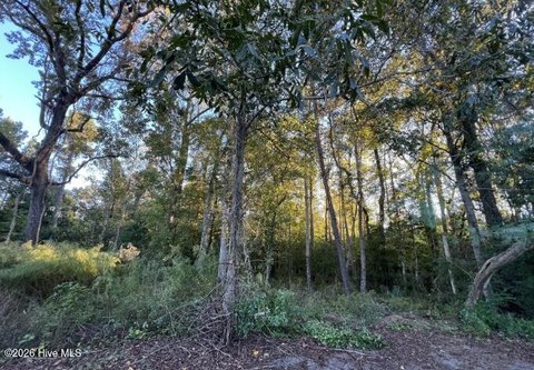 LAND - Wilmington, NC