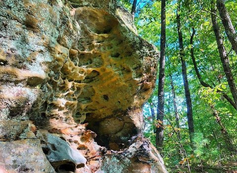 Land Near Red River Gorge
